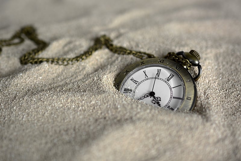 Time Traveler's Guide